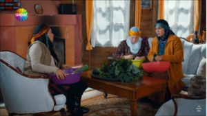 Sevdaluk TV dizisinden bir sahne 3